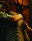Filename=Dumbo_28129.jpg
Filesize=5139KiB
Dimensions=1998x1080
Date added=Sep 24, 2025 Dumbo_28129.jpg