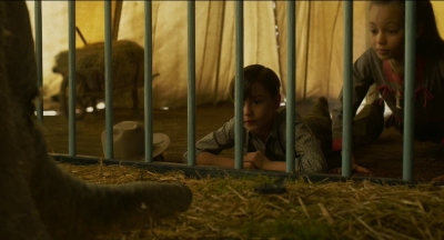 2019_-_Dumbo_mp41092.jpg