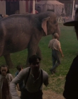 Filename=2019_-_Dumbo_mp40747.jpg
Filesize=857KiB
Dimensions=1920x1040
Date added=Sep 24, 2025 2019_-_Dumbo_mp40747.jpg