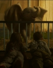 Filename=2019_-_Dumbo_mp41100.jpg
Filesize=915KiB
Dimensions=1920x1040
Date added=Sep 24, 2025 2019_-_Dumbo_mp41100.jpg