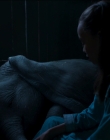 Filename=2019_-_Dumbo_mp41890.jpg
Filesize=645KiB
Dimensions=1920x1040
Date added=Sep 24, 2025 2019_-_Dumbo_mp41890.jpg