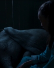 Filename=2019_-_Dumbo_mp41891.jpg
Filesize=643KiB
Dimensions=1920x1040
Date added=Sep 24, 2025 2019_-_Dumbo_mp41891.jpg