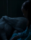 Filename=2019_-_Dumbo_mp41892.jpg
Filesize=641KiB
Dimensions=1920x1040
Date added=Sep 24, 2025 2019_-_Dumbo_mp41892.jpg
