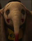 Filename=2019_-_Dumbo_mp42121.jpg
Filesize=886KiB
Dimensions=1920x1040
Date added=Sep 24, 2025 2019_-_Dumbo_mp42121.jpg
