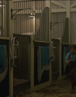 Filename=2019_-_Dumbo_mp43017.jpg
Filesize=1000KiB
Dimensions=1920x1040
Date added=Sep 24, 2025 2019_-_Dumbo_mp43017.jpg