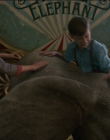Filename=2019_-_Dumbo_mp43020.jpg
Filesize=817KiB
Dimensions=1920x1040
Date added=Sep 24, 2025 2019_-_Dumbo_mp43020.jpg