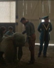 Filename=2019_-_Dumbo_mp43048.jpg
Filesize=914KiB
Dimensions=1920x1040
Date added=Sep 24, 2025 2019_-_Dumbo_mp43048.jpg