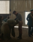 Filename=2019_-_Dumbo_mp43049.jpg
Filesize=918KiB
Dimensions=1920x1040
Date added=Sep 24, 2025 2019_-_Dumbo_mp43049.jpg