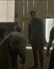Filename=2019_-_Dumbo_mp43067.jpg
Filesize=900KiB
Dimensions=1920x1040
Date added=Sep 24, 2025 2019_-_Dumbo_mp43067.jpg