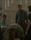 Filename=2019_-_Dumbo_mp43071.jpg
Filesize=830KiB
Dimensions=1920x1040
Date added=Sep 24, 2025 2019_-_Dumbo_mp43071.jpg