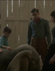 Filename=2019_-_Dumbo_mp43072.jpg
Filesize=905KiB
Dimensions=1920x1040
Date added=Sep 24, 2025 2019_-_Dumbo_mp43072.jpg
