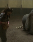 Filename=2019_-_Dumbo_mp43178.jpg
Filesize=842KiB
Dimensions=1920x1040
Date added=Sep 24, 2025 2019_-_Dumbo_mp43178.jpg