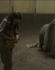 Filename=2019_-_Dumbo_mp43179.jpg
Filesize=845KiB
Dimensions=1920x1040
Date added=Sep 24, 2025 2019_-_Dumbo_mp43179.jpg