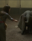 Filename=2019_-_Dumbo_mp43181.jpg
Filesize=903KiB
Dimensions=1920x1040
Date added=Sep 24, 2025 2019_-_Dumbo_mp43181.jpg