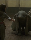 Filename=2019_-_Dumbo_mp43182.jpg
Filesize=868KiB
Dimensions=1920x1040
Date added=Sep 24, 2025 2019_-_Dumbo_mp43182.jpg