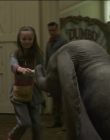 Filename=2019_-_Dumbo_mp43183.jpg
Filesize=643KiB
Dimensions=1920x1040
Date added=Sep 24, 2025 2019_-_Dumbo_mp43183.jpg
