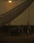 Filename=2019_-_Dumbo_mp43324.jpg
Filesize=1008KiB
Dimensions=1920x1040
Date added=Sep 24, 2025 2019_-_Dumbo_mp43324.jpg