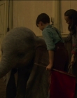 Filename=2019_-_Dumbo_mp43330.jpg
Filesize=691KiB
Dimensions=1920x1040
Date added=Sep 24, 2025 2019_-_Dumbo_mp43330.jpg