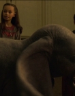 2019_-_Dumbo_mp43334.jpg