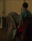 2019_-_Dumbo_mp43335.jpg