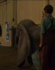 2019_-_Dumbo_mp43336.jpg