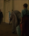 2019_-_Dumbo_mp43337.jpg