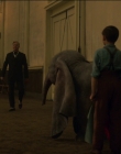 Filename=2019_-_Dumbo_mp43338.jpg
Filesize=792KiB
Dimensions=1920x1040
Date added=Sep 24, 2025 2019_-_Dumbo_mp43338.jpg