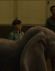 Filename=2019_-_Dumbo_mp43342.jpg
Filesize=798KiB
Dimensions=1920x1040
Date added=Sep 24, 2025 2019_-_Dumbo_mp43342.jpg