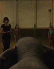 Filename=2019_-_Dumbo_mp43369.jpg
Filesize=936KiB
Dimensions=1920x1040
Date added=Sep 24, 2025 2019_-_Dumbo_mp43369.jpg
