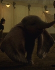 Filename=2019_-_Dumbo_mp43391.jpg
Filesize=807KiB
Dimensions=1920x1040
Date added=Sep 24, 2025 2019_-_Dumbo_mp43391.jpg