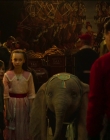 Filename=2019_-_Dumbo_mp43564.jpg
Filesize=834KiB
Dimensions=1920x1040
Date added=Sep 24, 2025 2019_-_Dumbo_mp43564.jpg