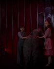 Filename=2019_-_Dumbo_mp44128.jpg
Filesize=654KiB
Dimensions=1920x1040
Date added=Sep 24, 2025 2019_-_Dumbo_mp44128.jpg