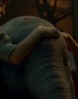 2019_-_Dumbo_mp45902.jpg