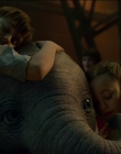 2019_-_Dumbo_mp45904.jpg