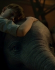2019_-_Dumbo_mp45906.jpg