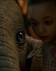 2019_-_Dumbo_mp45913.jpg