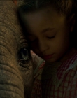 2019_-_Dumbo_mp45914.jpg