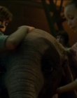 2019_-_Dumbo_mp45927.jpg