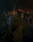 2019_-_Dumbo_mp45945.jpg