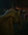 2019_-_Dumbo_mp45947.jpg