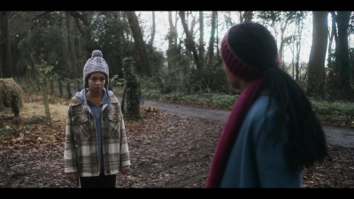 The_Third_Day_S01E04_mkv0836.jpg