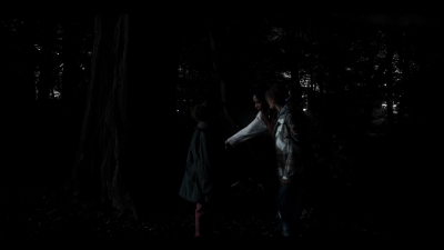 The_Third_Day_S01E06_mkv2965.jpg