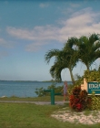 Filename=2024_-_Suncoast_mkv0042.jpg
Filesize=933KiB
Dimensions=1920x960
Date added=Sep 24, 2025 2024_-_Suncoast_mkv0042.jpg