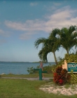 Filename=2024_-_Suncoast_mkv0043.jpg
Filesize=928KiB
Dimensions=1920x960
Date added=Sep 24, 2025 2024_-_Suncoast_mkv0043.jpg