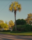 Filename=2024_-_Suncoast_mkv4929.jpg
Filesize=886KiB
Dimensions=1920x960
Date added=Sep 24, 2025 2024_-_Suncoast_mkv4929.jpg