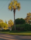 Filename=2024_-_Suncoast_mkv4930.jpg
Filesize=897KiB
Dimensions=1920x960
Date added=Sep 24, 2025 2024_-_Suncoast_mkv4930.jpg