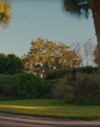Filename=2024_-_Suncoast_mkv4932.jpg
Filesize=848KiB
Dimensions=1920x960
Date added=Sep 24, 2025 2024_-_Suncoast_mkv4932.jpg
