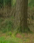 Filename=2025_-_How_To_Train_Your_Dragon_mp43409.jpg
Filesize=689KiB
Dimensions=1920x800
Date added=Oct 11, 2025 2025_-_How_To_Train_Your_Dragon_mp43409.jpg
