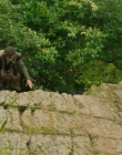 Filename=2025_-_How_To_Train_Your_Dragon_mp43421.jpg
Filesize=1321KiB
Dimensions=1920x800
Date added=Oct 11, 2025 2025_-_How_To_Train_Your_Dragon_mp43421.jpg