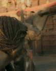 Filename=2025_-_How_To_Train_Your_Dragon_mp43982.jpg
Filesize=698KiB
Dimensions=1920x800
Date added=Oct 11, 2025 2025_-_How_To_Train_Your_Dragon_mp43982.jpg